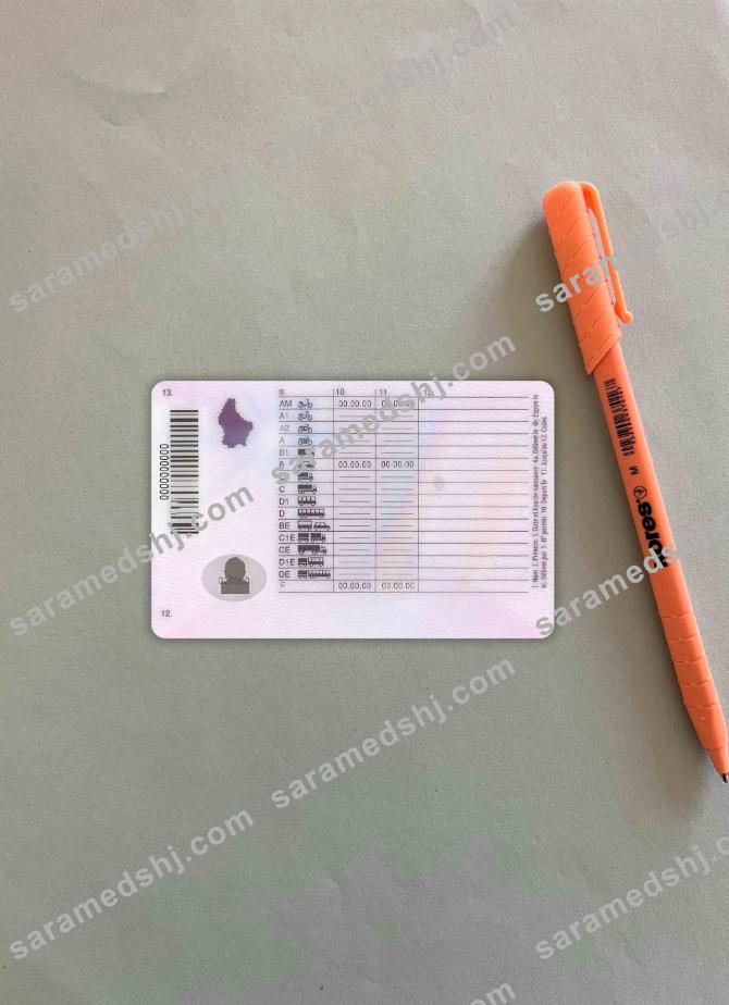 Luxembourg driving license photolook BACK
